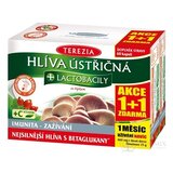TEREZIA HLIVA USTRICOVITÁ + LAKTOBACILY so šípkami (AKCIA 1+1), cps 60+60 zadarmo (120 ks) obrázok