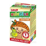 TEREZIA HLIVIAČIK S HLIVOU USTRICOVITOU + RAKYTNÍK sirup s príchuťou hrušky 1x100 ml obrázok