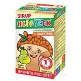 TEREZIA HLIVIAČIK S HLIVOU USTRICOVITOU + RAKYTNÍK sirup s príchuťou hrušky 1x100 ml obrázok