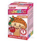 TEREZIA HLIVIAČIK S HLIVOU USTRICOVITOU + RAKYTNÍK sirup s príchuťou višne 1x100 ml obrázok
