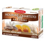 TEREZIA HUBOVÉ QUARTETO s REISHI 60 cps 1x60 ks obrázok