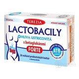 TEREZIA LACTOBACILY + HLIVA USTRICOVITÁ s betaglukánmi FORTE, cps 1x10 ks obrázok