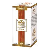 TEREZIA REISHI V KÁVE strong vrecúška 20x3,4 g (68 g) obrázok
