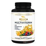 VEMICA Premium MULTIVITAMÍN cps 1x120 ks obrázok