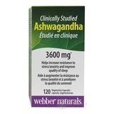 Webber Naturals Ashwagandha cps 1x120 ks obrázok
