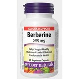 Webber Naturals Berberín 500 mg cps 1x60 ks obrázok