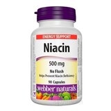 Webber Naturals Niacin 500 mg (nealergický) cps 1x90 ks obrázok