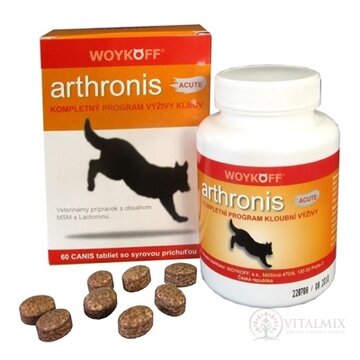 arthronis ACUTE tbl CANIS  so syrovou príchuťou 1x60 ks obrázok