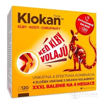 Barny's KLOKAN Forte cps (vianočné, zvýhodnené balenie) 1x120 ks obrázok