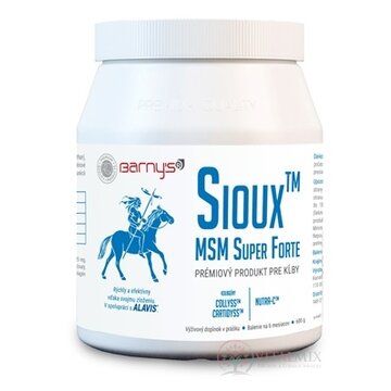 Barny's Sioux MSM Super Forte prášok 1x600 g obrázok