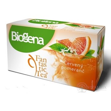 Biogena Fantastic Tea Červený pomaranč ovocný čaj 20x2,2 g (44 g) obrázok