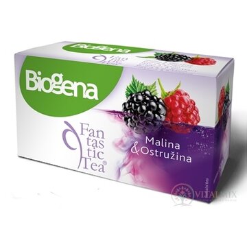 Biogena Fantastic Tea Malina & Ostružina ovocný čaj 20x2,2 g (44 g) obrázok