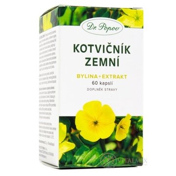 Dr. Popov KOTVIČNÍK ZEMNÝ cps (bylina - extrakt) 1x60 ks obrázok