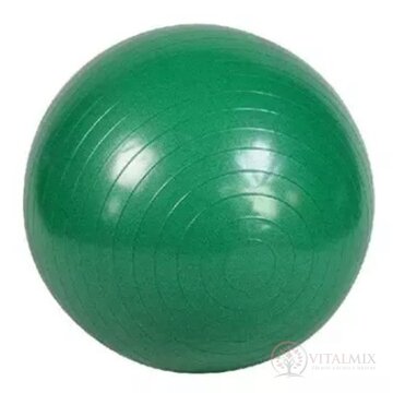 GYMY REHABILITAČNÁ LOPTA ABS 75 cm + pumpa rôzne farby (modrá/zelená) 1x1 set obrázok
