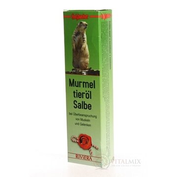 holzhacker Svištia masť (Murmel tieröl Salbe) 1x75 ml obrázok