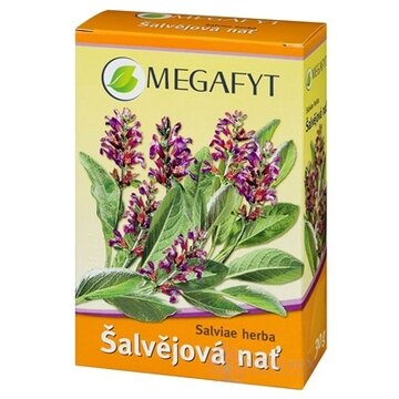 MEGAFYT BL Šalviová vňať bylinný čaj 1x30 g obrázok