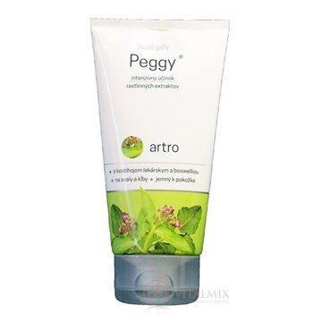 PEGGY nové gély Artro 1x170 g obrázok