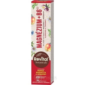 Revital Botanicals MAGNÉZIUM + B6 tbl eff s bylinnými extraktmi, s príchuťou manga, marakuje a medovky 1x20 ks obrázok