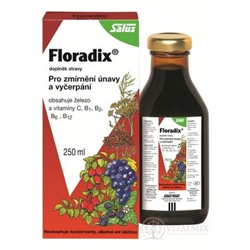SALUS Floradix bylinný sirup 1x250 ml obrázok