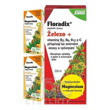 SALUS Floradix Železo + tekutá forma 250 ml + SALUS Floradix Magnesium 2x10 ml, 1x1 set obrázok