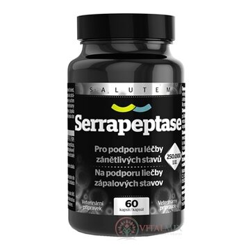 Serrapeptase 250 000 I.U. SALUTEM cps 1x60 ks obrázok