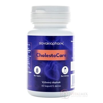 Slovakiapharm CholestoCare cps 1x60 ks obrázok