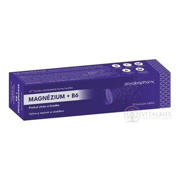 Slovakiapharm Magnézium + B6 šumivé tablety, príchuť citrón a limetka 1x20 ks obrázok