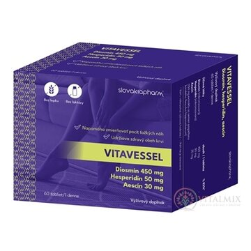 Slovakiapharm VITAVESSEL tbl 1x60 ks obrázok