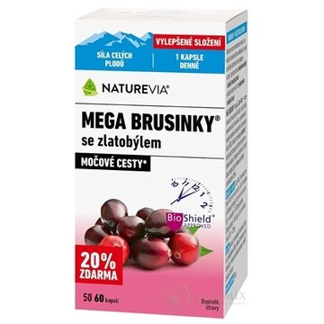 SWISS NATUREVIA MEGA BRUSNICE SO ZLATOBYĽOU cps 1x60 ks obrázok