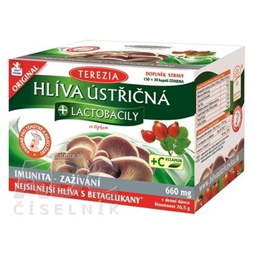 TEREZIA HLIVA USTRICOVITÁ + LAKTOBACILY so šípkami cps 150+30 zadarmo (180 ks) obrázok