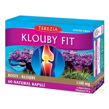 TEREZIA KĹBY FIT cps 1x60 ks obrázok