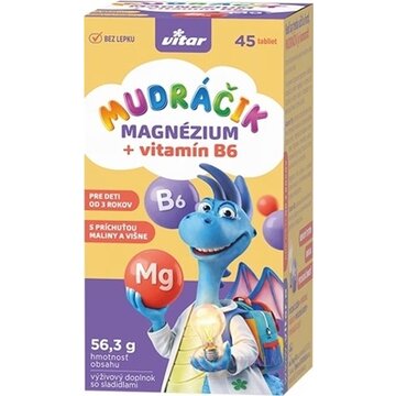 VITAR MUDRÁČIK Magnézium + B6 tbl 1x45 ks obrázok