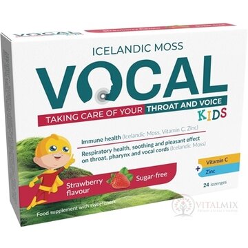 Vocal KIDS pastilky s jahodovou príchuťou, bez cukru 1x24 ks obrázok