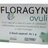 FLORAGYN vaginálne čapíky 1x6 ks obrázok