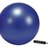GYMY REHABILITAČNÁ LOPTA ABS 55 cm + pumpa fialová 1x1 set obrázok