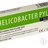 HELICOBACTER PYLORI Ecotest diagnostický test zo stolice 1x1 ks obrázok
