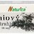 Naturica PÍNIOVÝ EXTRAKT 50 mg tbl 1x30 ks obrázok