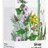 NaturProdukt Sirup pre dýchacie cesty sirup 1x200 ml obrázok