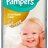 PAMPERS PREMIUM CARE 4 Maxi detské plienky (8-14 kg) 1x52 ks obrázok