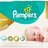 PAMPERS PREMIUM CARE 5 Junior detské plienky (11-18 kg) 1x44 ks obrázok