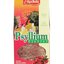 APOTHEKE PSYLLIUM S ČERVENOU REPOU 1x100 g obrázok