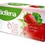 Biogena Fantastic Tea Jahoda & Ginkgo bylinný čaj (inov.2019) 20x2 g (40 g) obrázok