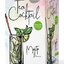 Biogena Tea Cocktail Mojito flavour ochutený čaj 20x2,3 g (46 g) obrázok