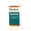 CYSTONE tbl 1x100 ks obrázok