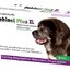 DEHINEL PLUS XL tablety pre psov 1x2 ks obrázok