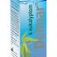 Delmar Fresh nosový sprej s eukalyptom 1x50 ml obrázok