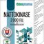 EDENPharma NATTOKINASE 2000 F.U. cps 1x120 ks obrázok