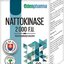 EDENPharma NATTOKINASE 2000 F.U. cps 1x60 ks obrázok