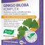 Evalar GINKGO BILOBA KOMPLEX tbl 1x40 ks obrázok