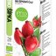 FYTO Bio Šípkový čaj 20x2 g (40 g) obrázok
